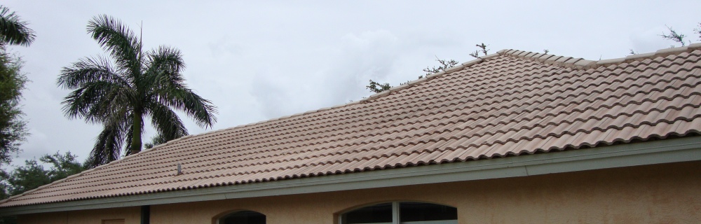 tile shingles number 1 after being cleaned