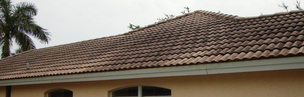 tile shingles number 1 before being cleaned