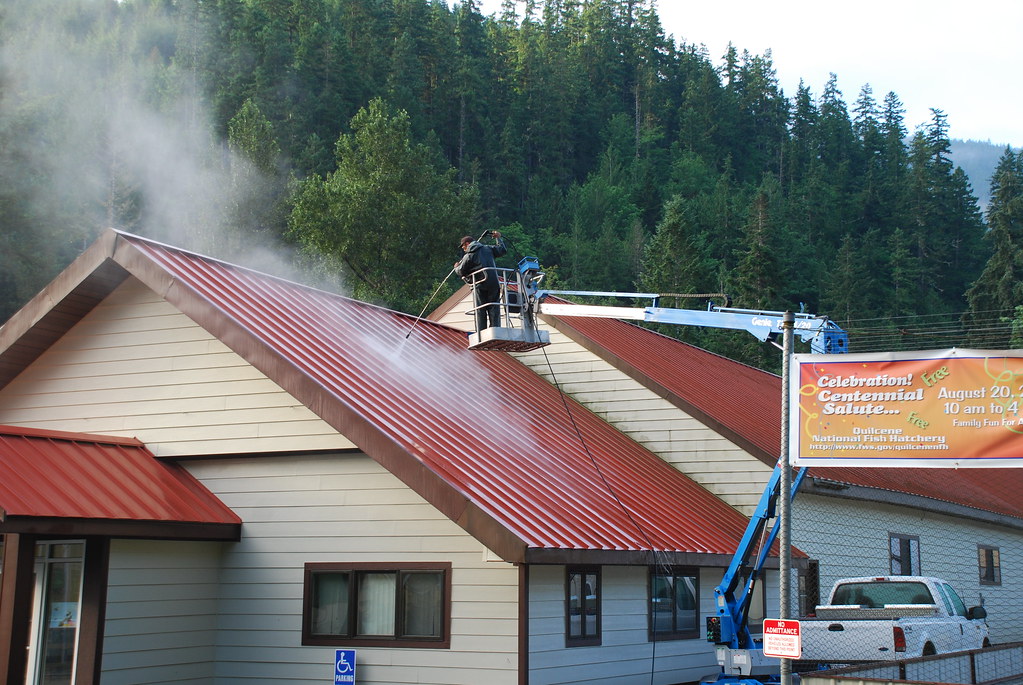 Protect and Restore Your Roof with Professional Pressure Washing Services